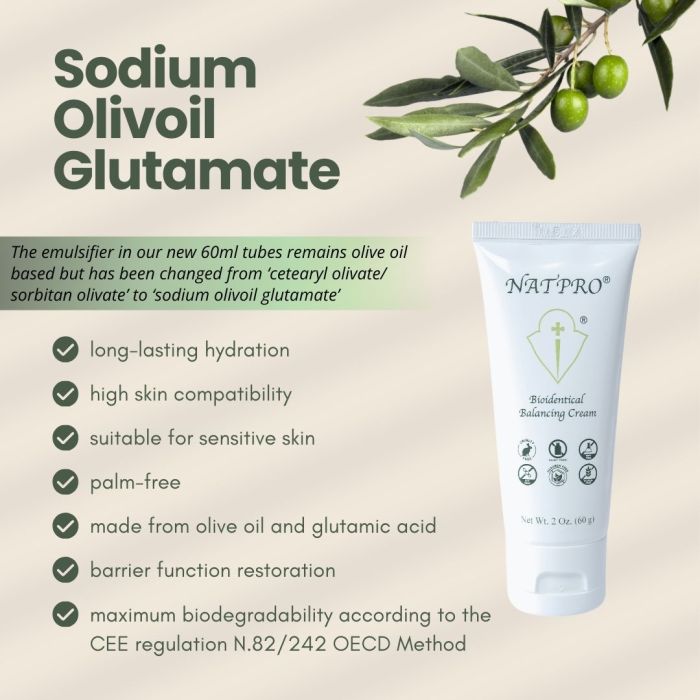 Sodium Olivoil Glutamate Infographic